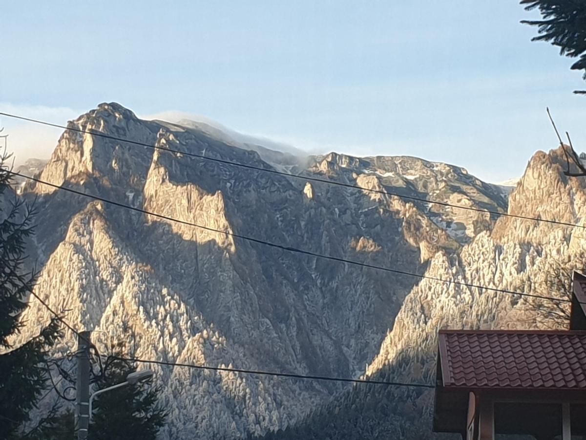 Mountain Break Azuga Ski Екстериор снимка